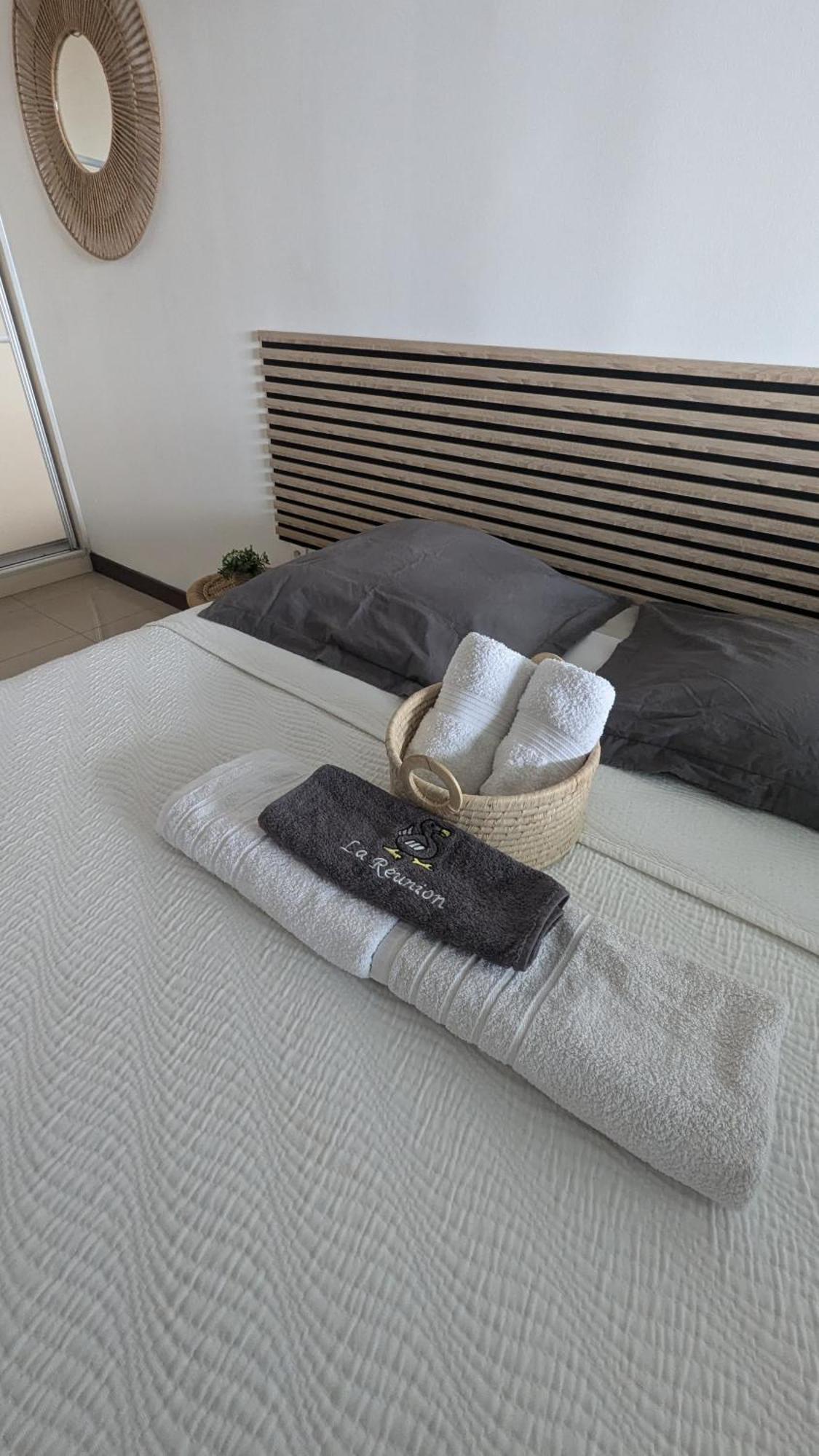 Апартаменты Entierement Equipe, Climatise, Wifi, Au Dernier Etage Sans Vis A Vis Сен-Дени Экстерьер фото